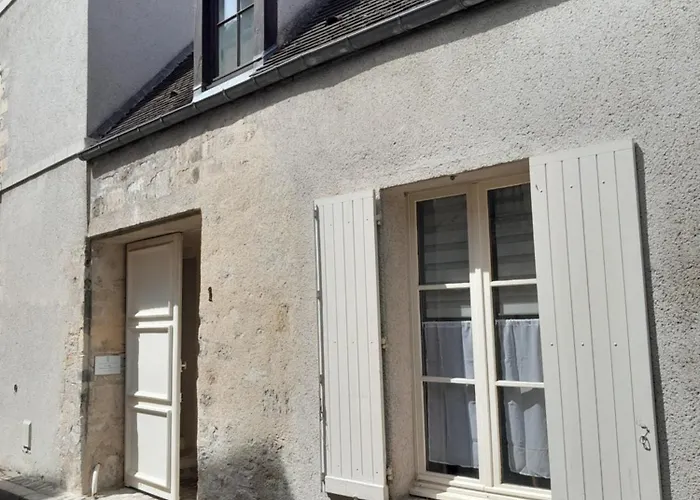 La Folie De Seraphine *